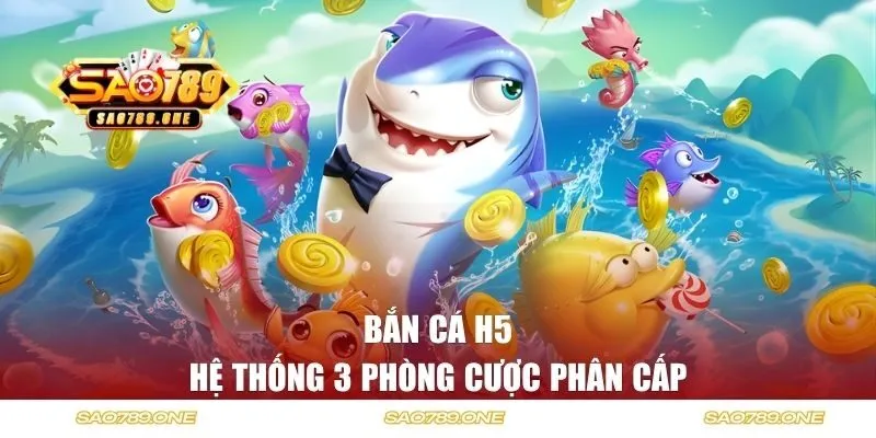 Hệ thống 3 phòng cược phân cấp