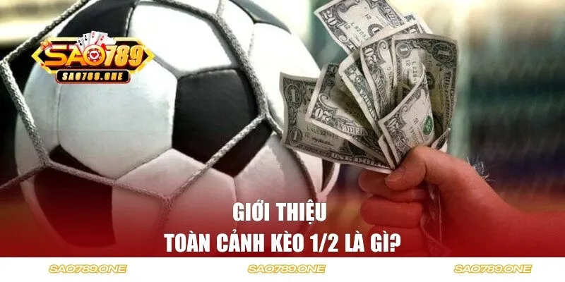 Toàn cảnh về kèo 1/2 là gì