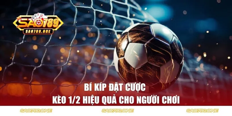 Mẹo dự đoán cược 1/2 gia tăng tỷ lệ thắng