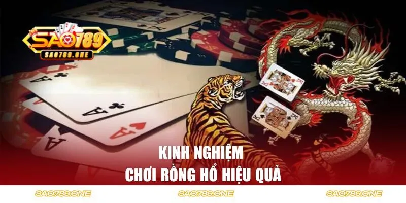 Chia sẻ kinh nghiệm cá cược hiệu quả từ cao thủ SAO789