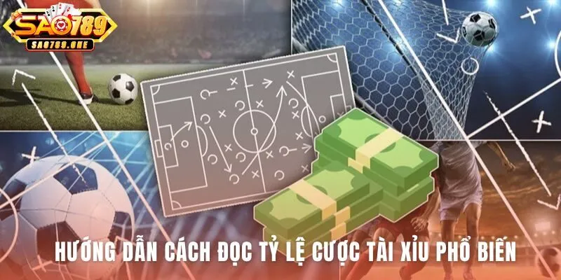 Giải mã kèo tài xỉu bóng đá qua các tỷ lệ cược phức tạp